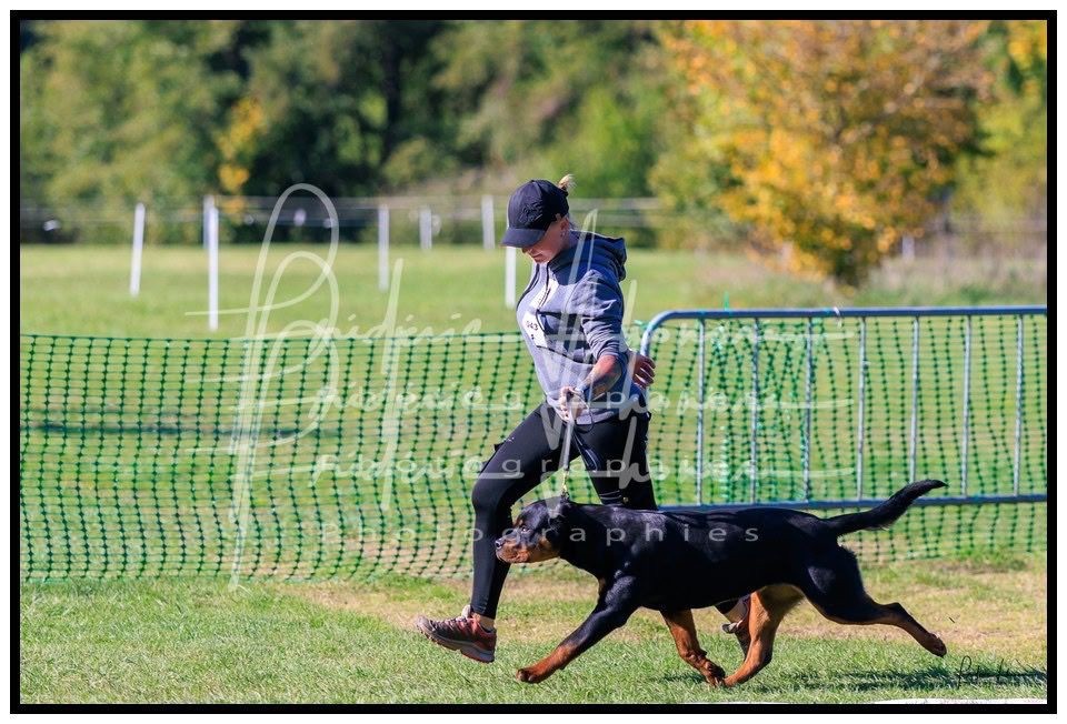 Vulcane Von Der Vangfuller